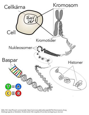 X Zygote: En Apokalyptisk Sandbox Med Mutationer Och Moralisk Dilemma!